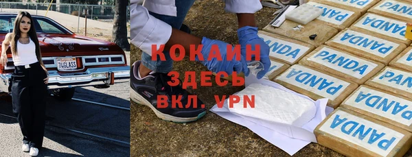 PSILOCYBIN Кинешма