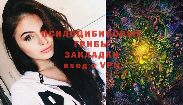 PSILOCYBIN Кинешма